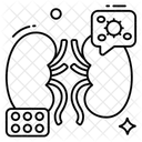 Riñones  Icono