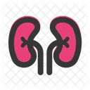Rinones Urologia Organo Icono