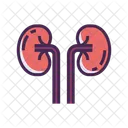 Rinones Icono