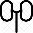 Riñones  Icono