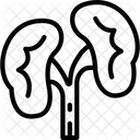 Riñones  Icono