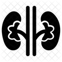 Riñones  Icono