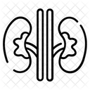 Riñones  Icono