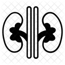 Riñones  Icono