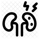 Riñones  Icono