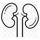 Riñones  Icono