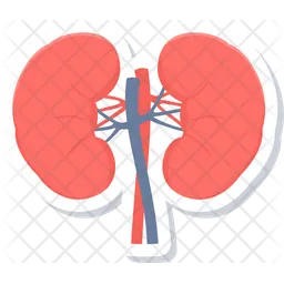 Riñones  Icono