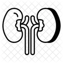 Riñones  Icono