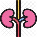 Enfermeria Hospital Clinica Icono