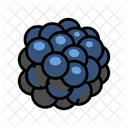 Ripe Blackberry  Icon
