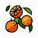 Ripe Orange  Icon