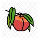 Ripe Peach Peach Ripe Icon
