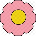 Ripollotero Flower Exotic Bloom Rare Flower Icon