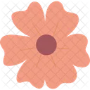 Ripollotero Flower  Icon