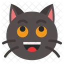 Rir gato  Icon