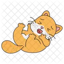 Rir Gato Fofo Icon