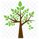 Tree Birch Nigra Icon