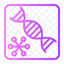 Rna Rna Structure Healthcare And Medical Icon