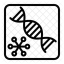 Rna Rna Structure Healthcare And Medical Icon