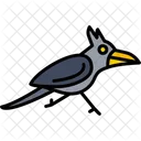 Roadrunner Animal Bird Icon