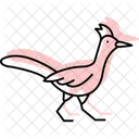 Roadrunner Bird Desert Icon