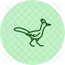 Roadrunner Bird Desert Icon