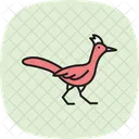 Roadrunner Bird Desert Icon