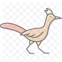 Roadrunner Bird Desert Icon
