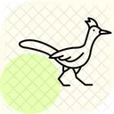 Roadrunner Bird Desert Icon
