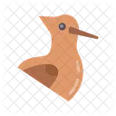 Roadrunner  Icon