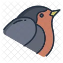 Robbin Birds Bird Icon