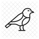 Rotkehlchen Vogel Tier Symbol