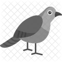 Robin Aviary Canary Icon