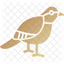 Robin Aviary Canary Icon