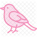 Robin Bird Spring Icon