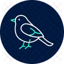 Robin Bird Spring Icon