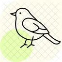 Robin Bird Spring Icon