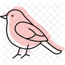 Robin Bird Spring Icon