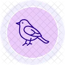 Robin Bird Spring Icon