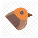 Robin  Icon