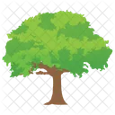 Schwarz Robinie Wald Icon