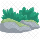 Rocas con exuberante follaje verde  Icono