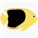 Rock Beauty Angelfish Sea Creature Animal Icon