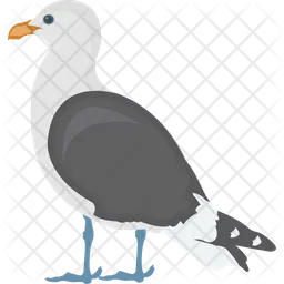 Rock Pigeon  Icon