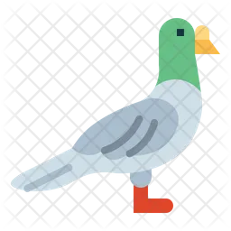 Rock Pigeon  Icon