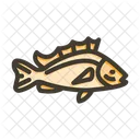 Sea Life Yellow Fish Grampus Icon