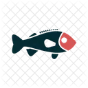 Rockfish  Icon