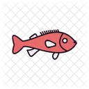 Rockfish  Icon