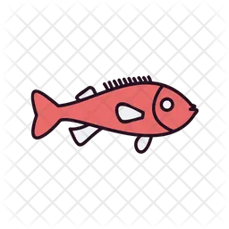 Rockfish  Icon