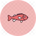 Rockfish  Icon